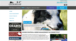Desktop Screenshot of geeserelief.com